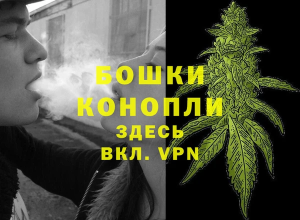 амф Арсеньев