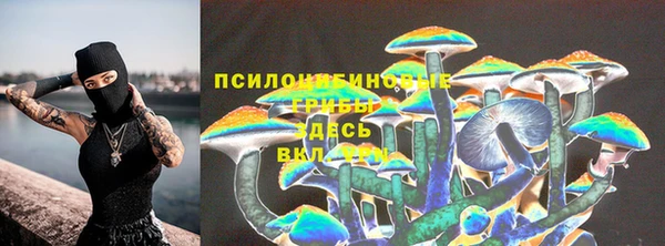 амф Арсеньев