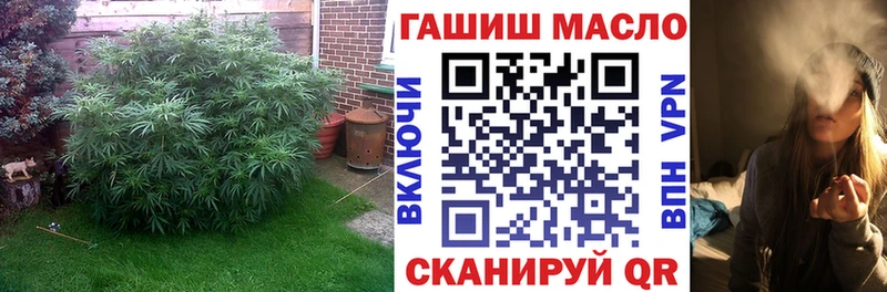 Купить  Дятьково  Дистиллят ТГК Wax 