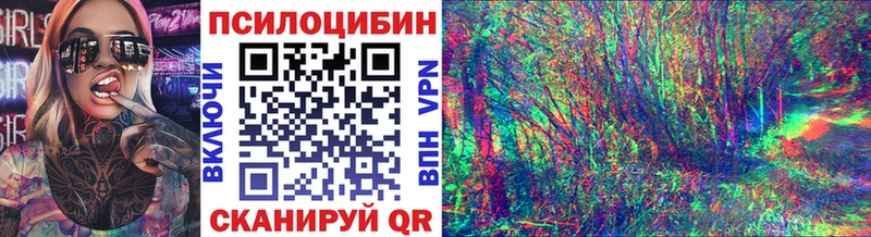 Купить закладки  Дятьково  Галлюциногенные грибы мухоморы 